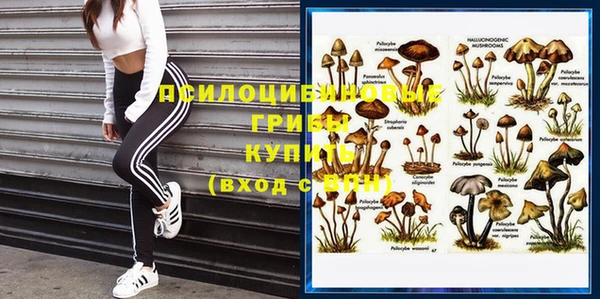 прущий лед Каменка