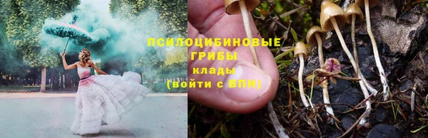 прущий лед Каменка